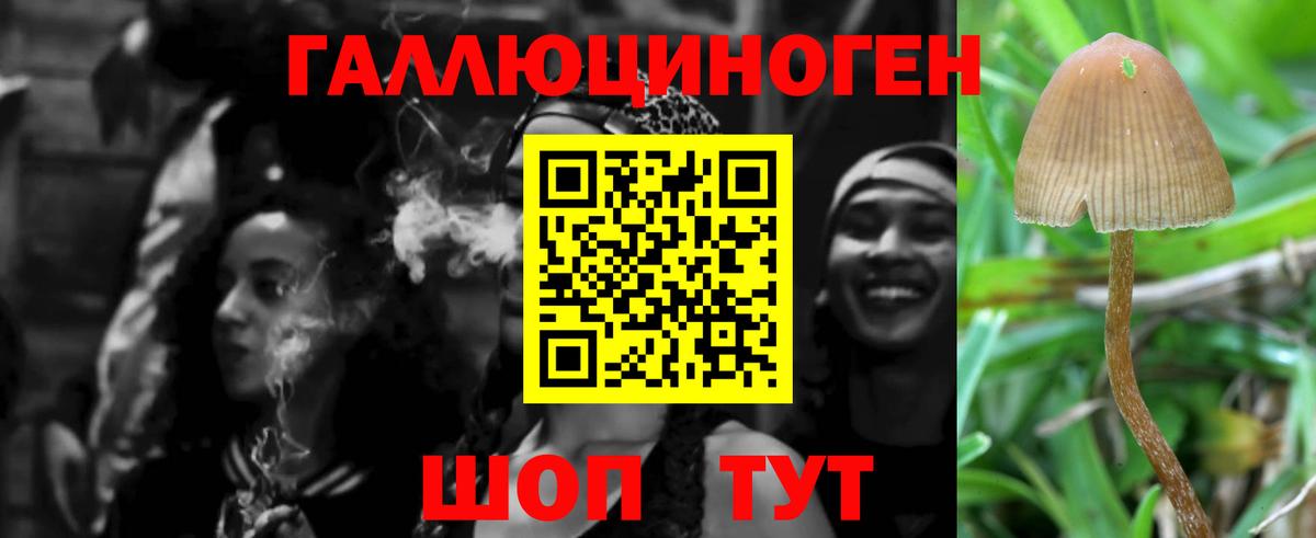 Галлюциногенные грибы Magic Shrooms  купить наркотик  Норильск  Вход с VPN 